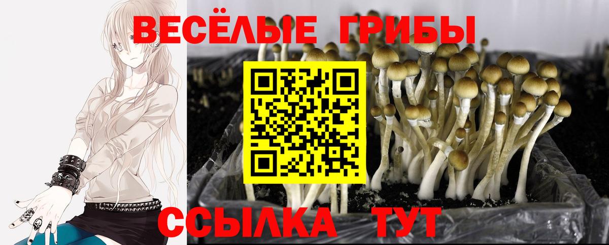 Псилоцибиновые грибы GOLDEN TEACHER  Галлюциногенные грибы мицелий  Вход с VPN  Краснотурьинск 